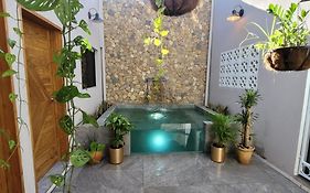 The Stone Elephant Meditative Stay 'In Town And Quiet' With Kitchen